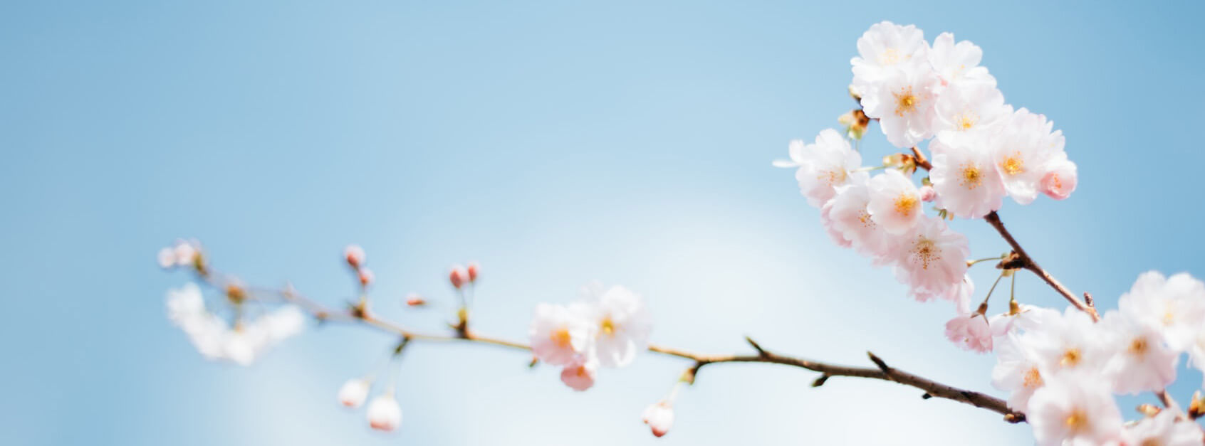 映菡